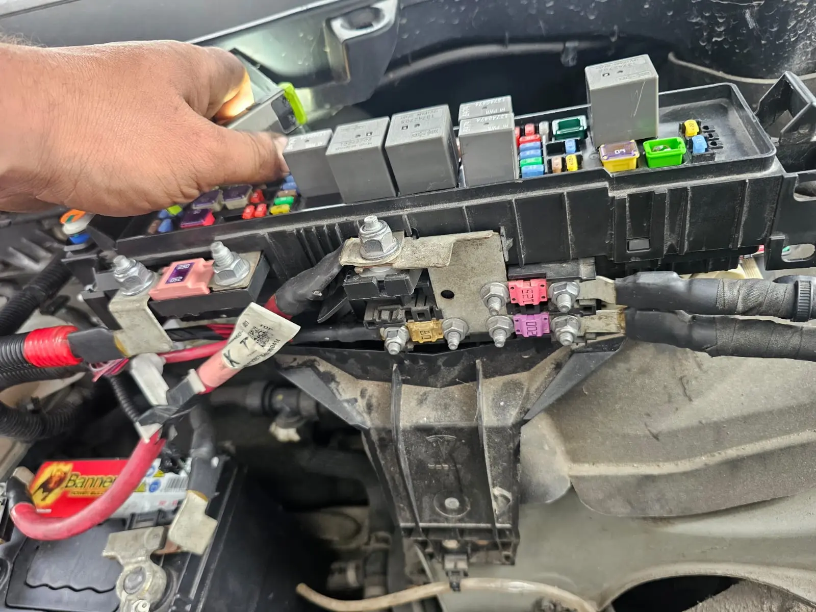 our work gallery (3)