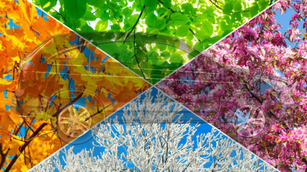 tree-four-season-collage=with-car-background